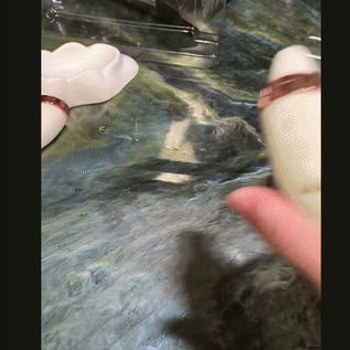 animazione NS-Novelties-Firefly-Dream-Glow