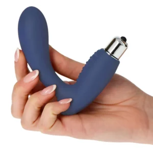 sex toy prostata silicone, Insider Line in mano